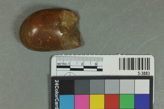 Hearst Museum object titled Pebble, accession number 5-3883, described as Partially modified chert pebble