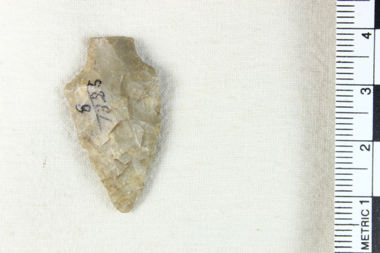 Hearst Museum object 3 of 4 titled Arrowhead, accession number 8-1326, described as Gray flint arrowhead