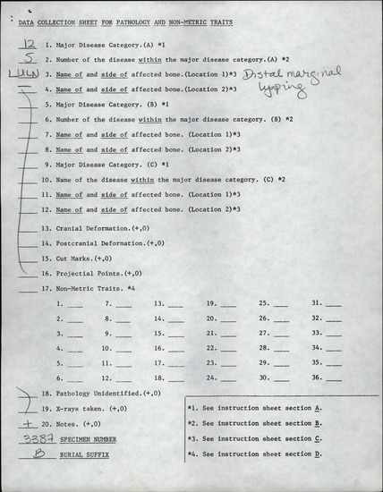 Documentation associated with Hearst Museum object titled Human remains, accession number 12-3387B, described as Right ulna