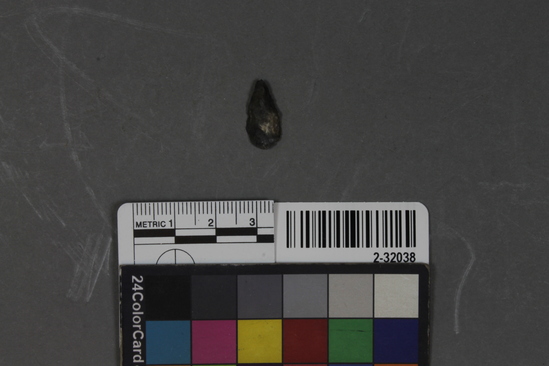 Hearst Museum object titled Point fragment, accession number 2-32038, described as Obsidian ?