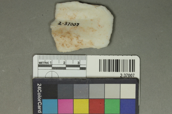 Hearst Museum object titled Flake, accession number 2-37007, described as Small flake scraper; white flint