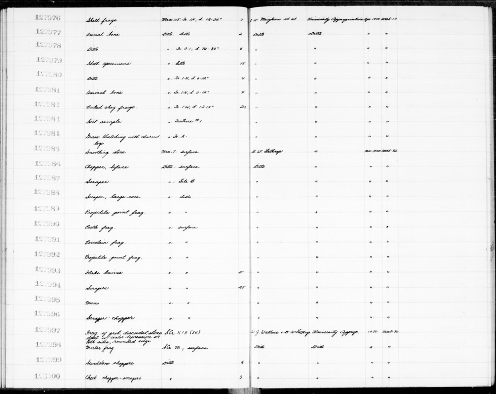 Documentation associated with Hearst Museum object titled Faunal remains, accession number 1-127978, described as 5+ bone fragments.