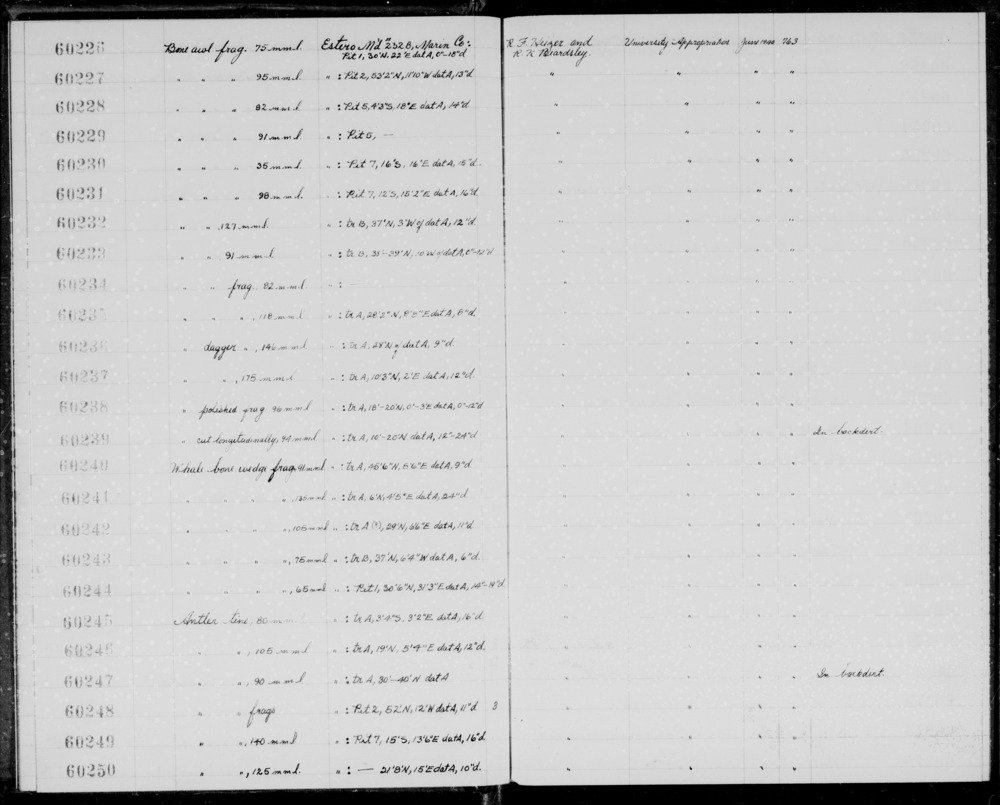 Documentation associated with Hearst Museum object titled Awl fragment, accession number 1-60227, described as Bone. Notice: Image restricted due to its potentially sensitive nature. Contact Museum to request access.