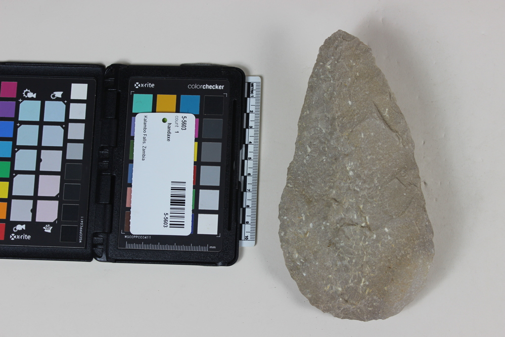 Hearst Museum object titled Handaxe, accession number 5-5603, described as Quartzite hand axe; L. 17.5 cm