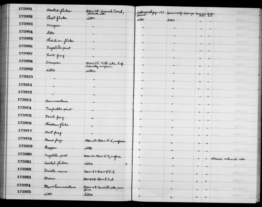 Documentation associated with Hearst Museum object titled Assorted flakes, accession number 1-173921, described as Assorted flakes.