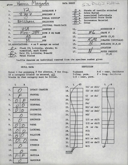 Documentation associated with Hearst Museum object titled Human remains, accession number 12-8747(0), described as Remains of one adult male.