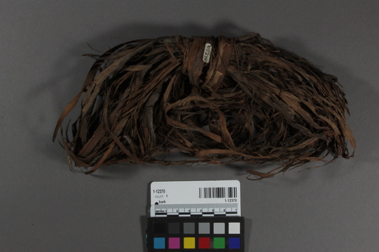 Hearst Museum object titled Bark, accession number 1-12370, described as Specimen, ethnobotanical; - 12369) cones, ground bark - 12370) bark from which cones are made