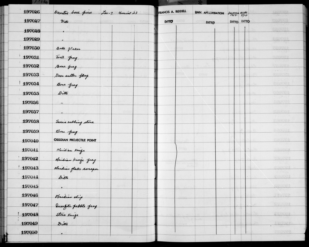 Documentation associated with Hearst Museum object titled Worked bone, accession number 1-197037, described as Bone fragment.