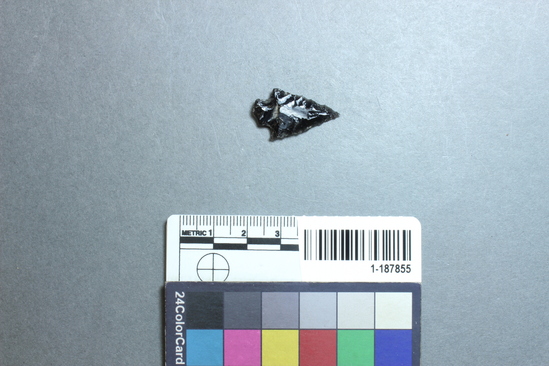 Hearst Museum object titled Projectile point, accession number 1-187855, described as Obsidian