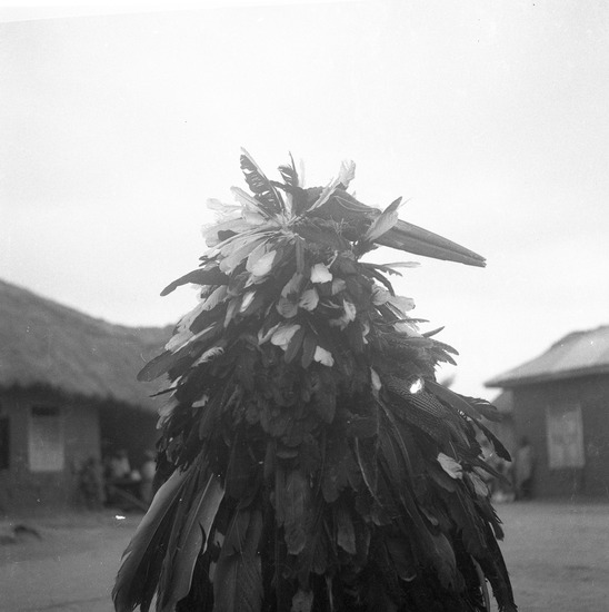 Hearst Museum object titled Negative, accession number 15-30956, described as Black and white negative, 2.25" Nigeria, Meko, Egungun Ogongo (2), 1951