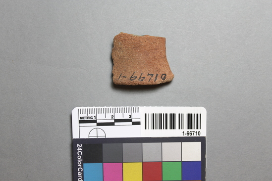 Hearst Museum object titled Potsherd, accession number 1-66710, described as Olivella bead, incised decoration