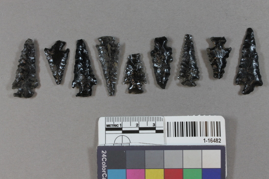 Hearst Museum object titled Projectile points, accession number 1-16482, described as small obsidian arrowpoints