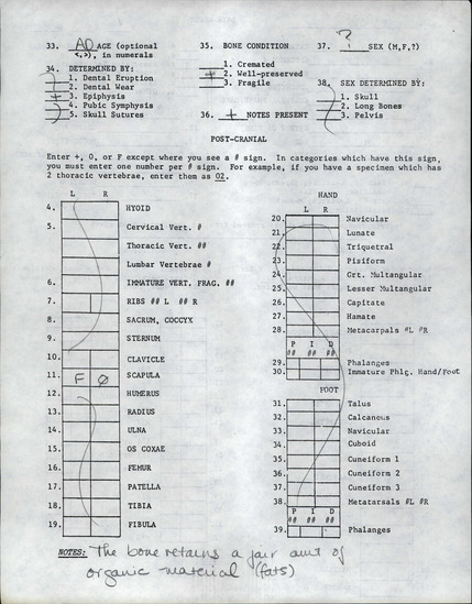 Documentation associated with Hearst Museum object titled Human remains, accession number 12-3387(0), described as Left scapula from an adult individual.  Retains a fair amount of organic material- fats.