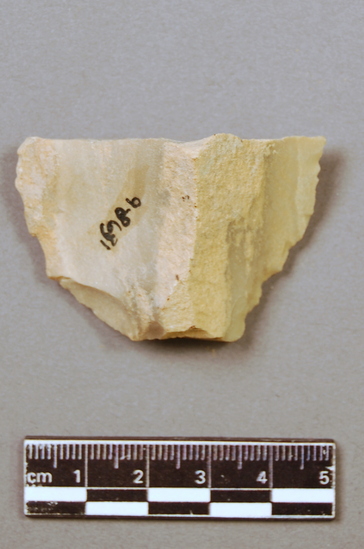 Hearst Museum object titled Flake, accession number 9-8631, described as Flake; trapezoidal outline; secondary flaking on two thin edges