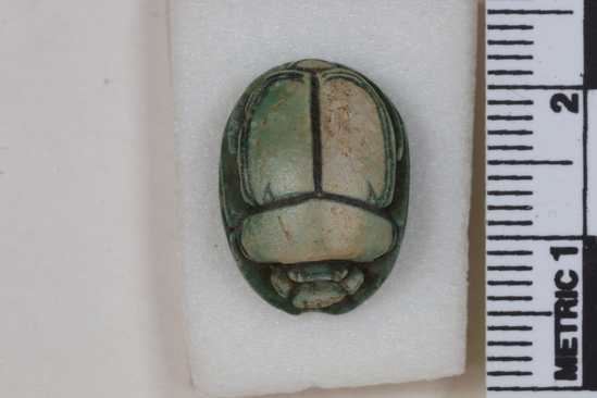 Hearst Museum object titled Scarab, accession number 6-8917, described as Scarab: in green glaze; length 16 mm