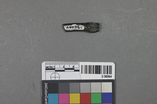 Hearst Museum object titled Mammal bone, accession number 2-36064, described as Burned sea otter metapodial.