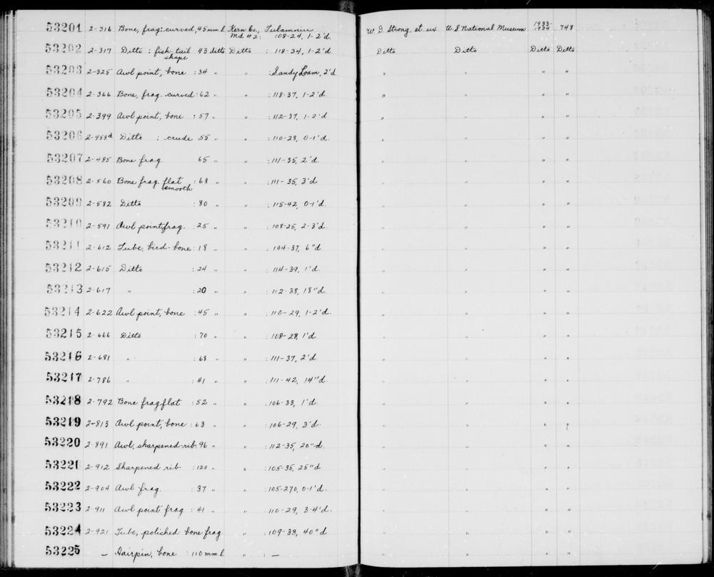 Documentation associated with Hearst Museum object titled Awl, accession number 1-53216, described as Awl point, bone.