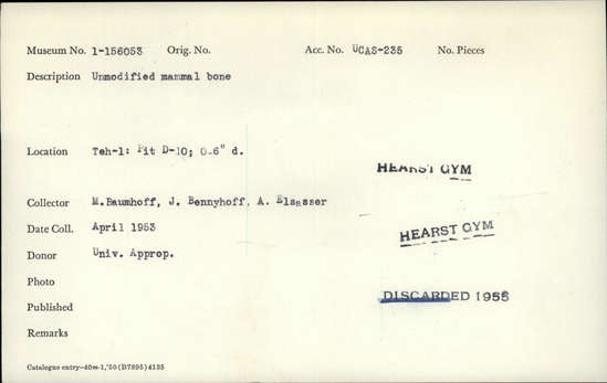 Documentation associated with Hearst Museum object titled Faunal remains, accession number 1-156053, described as Unmodified, mammal.