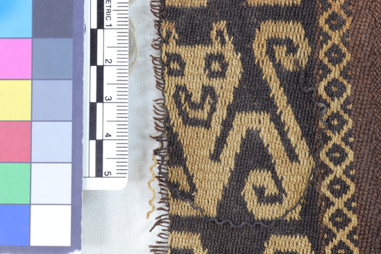 Hearst Museum object 6 of 6 titled Tapestry fragment, accession number 16-967, described as Thick, finely woven double fabric with conventionalized figures of cats. Colors: dark brown, black, and yellowish white