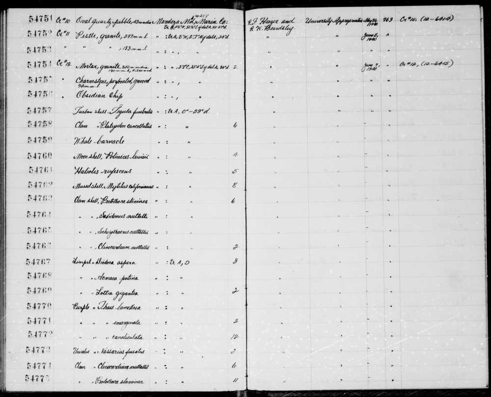 Documentation associated with Hearst Museum object titled Shell, accession number 1-54761, described as Haliotis rufescens.