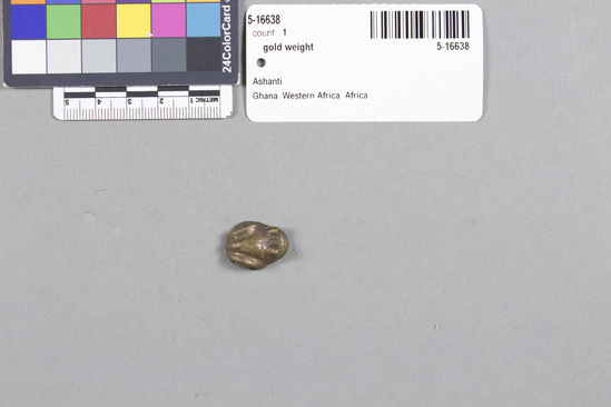 Hearst Museum object 2 of 2 titled Gold weight, accession number 5-16638, described as frog, tiny.