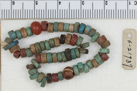 Hearst Museum object 3 of 3 titled Beads, accession number 6-21937, described as Breads, of faience, 2 of carnelian.