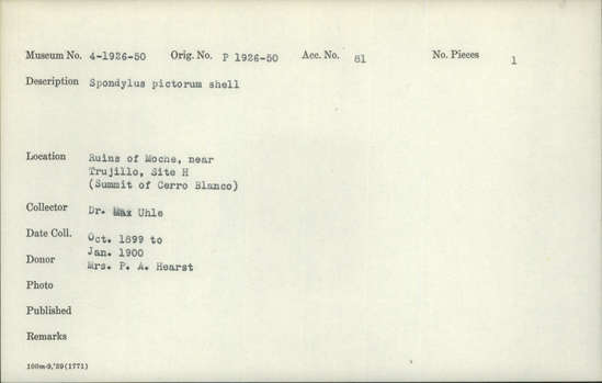 Documentation associated with Hearst Museum object titled Shell, accession number 4-1946, described as Spondylus pictorum shell.