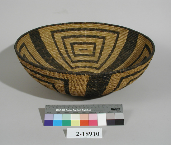 Hearst Museum object titled Basket, accession number 2-18910, described as Cat-tail coil, concave.