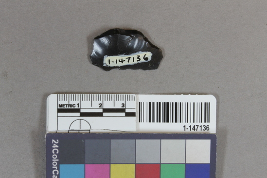 Hearst Museum object titled Flake, accession number 1-147136, described as worked obsidian flake