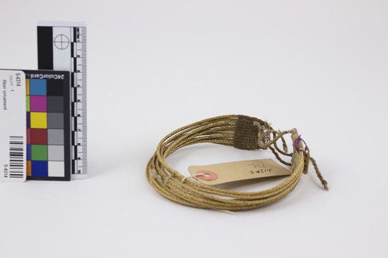Hearst Museum object titled Leg ornament, accession number 5-4314, described as Leg ornament (Nldeuilde) of multiple plaited bands of glossy, straw-colored plant fiber; diameter 10 cm.