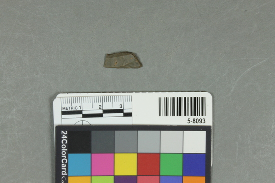 Hearst Museum object titled Flake, accession number 5-8093, described as prismatic flake; segment; rhomboid outline; L 2.0cm