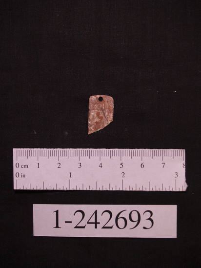 Ornament fragment