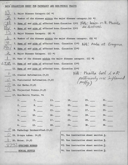 Documentation associated with Hearst Museum object titled Human remains, accession number 12-8742(0), described as Remains of one middle adult (35 year old) male.