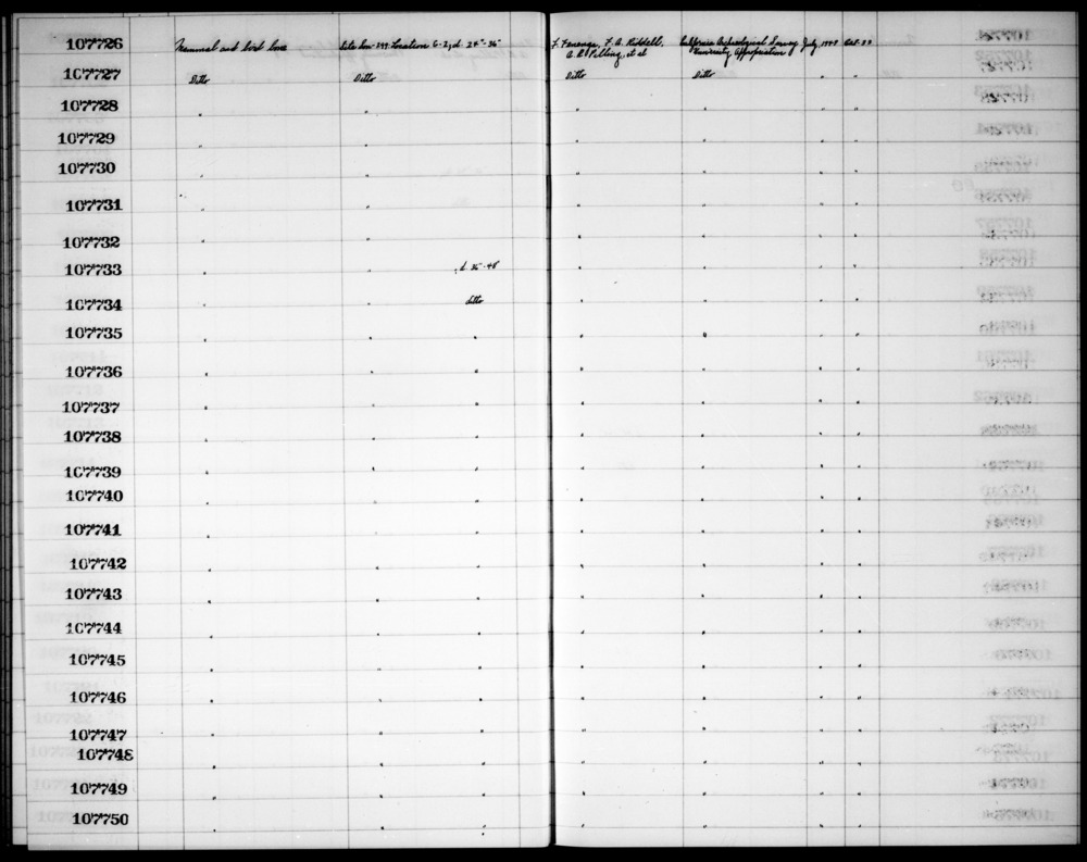 Documentation associated with Hearst Museum object titled Faunal remains, accession number 1-107745, described as Mammal and bird bone.