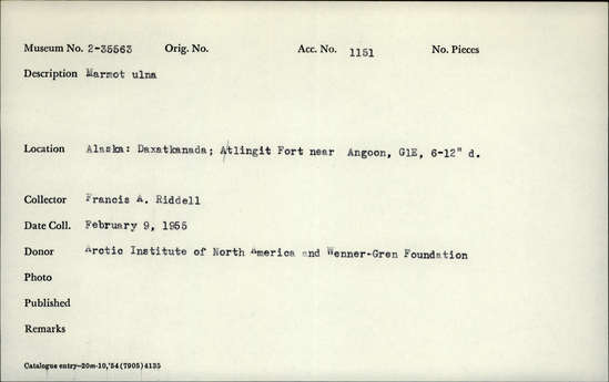 Documentation associated with Hearst Museum object titled Mammal bone, accession number 2-35563, described as Marmot ulna.