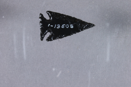 Hearst Museum object 3 of 4 titled Projectile point, accession number 1-19508, described as Obsidian arrow point