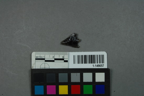 Hearst Museum object titled Point, accession number 1-149057, described as Obsidian projectile, contracting stem, base notched