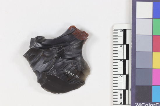 Hearst Museum object 1 of 2 titled Flake, accession number 16-14410, described as Projectile point fragment; obsidian; triangular; weight: 3.78 grams; length: 4.54 cm; width: 4.46 cm; depth: 1.1 cm.