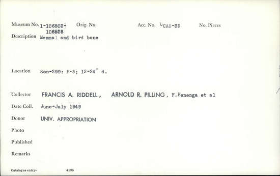 Documentation associated with Hearst Museum object titled Faunal remains, accession number 1-106514, described as Mammal and bird.