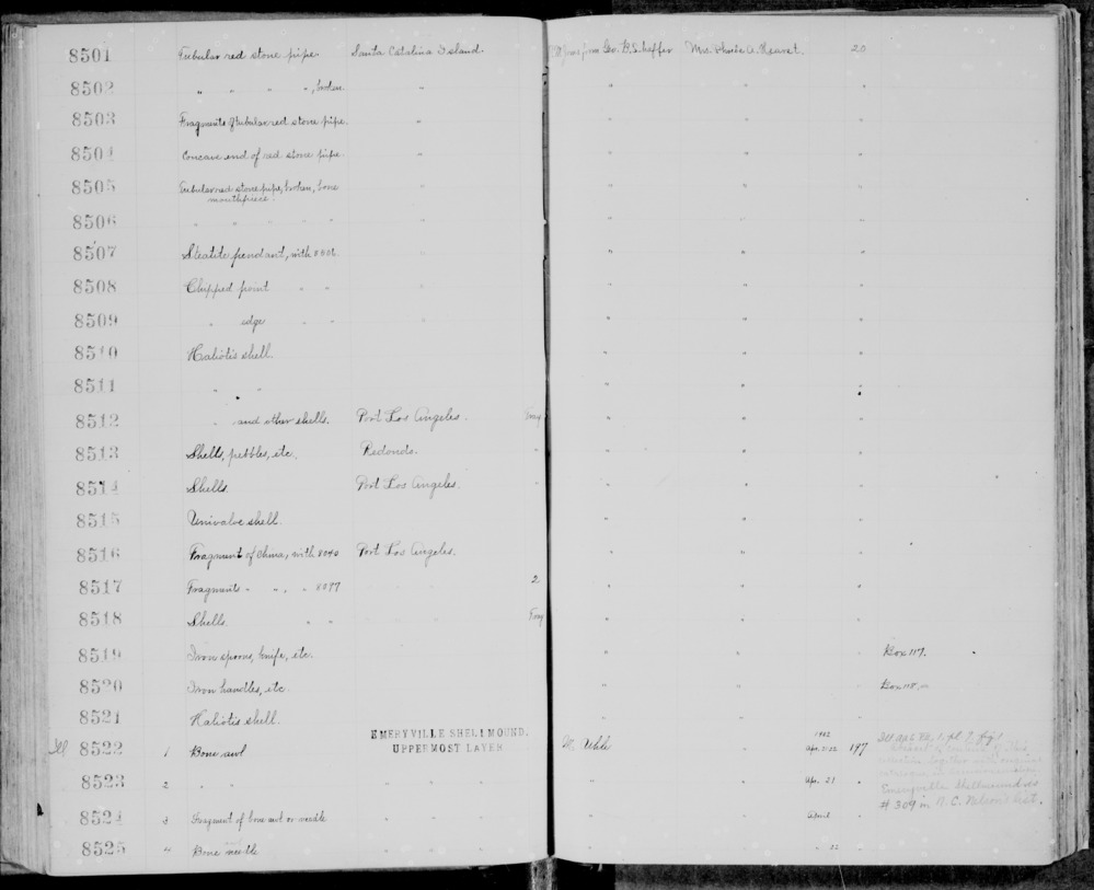 Documentation associated with Hearst Museum object titled Awl, accession number 1-8523, described as bone awl