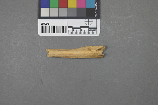 Hearst Museum object titled Mammal bone, accession number 2-35888, described as Deer cannon bone fragment. Metacarpal diaphysis.