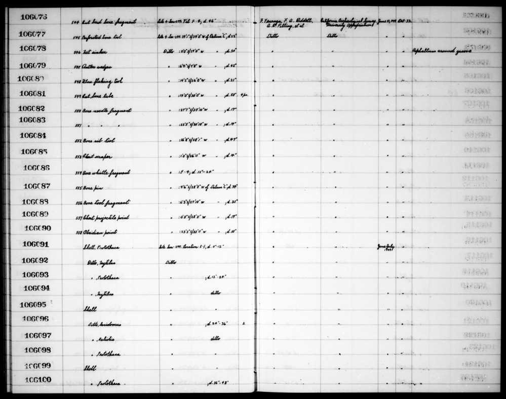 Documentation associated with Hearst Museum object titled Worked bone fragment, accession number 1-106088, described as Bone.