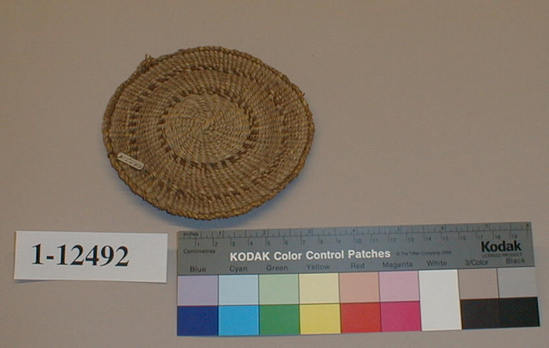 Hearst Museum object titled Toy basket, accession number 1-12492, described as Flat toy basket; twined. Warp is twisted Tule (Schoenoplectus acutus), weft is Cattail (Typha latifolia). Brown dye is Tule root.