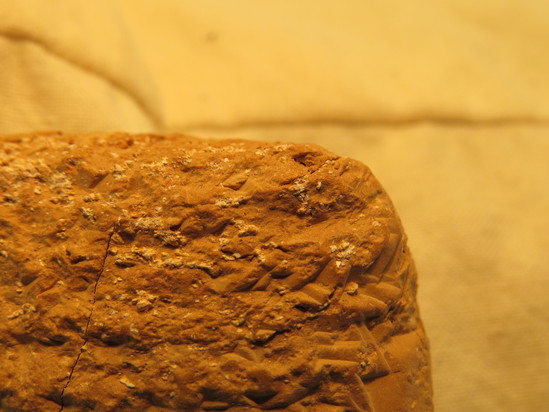 Hearst Museum object 84 of 132 titled Cuneiform tablet, accession number 9-2586, described as Neo-Babylonian Document from Erech