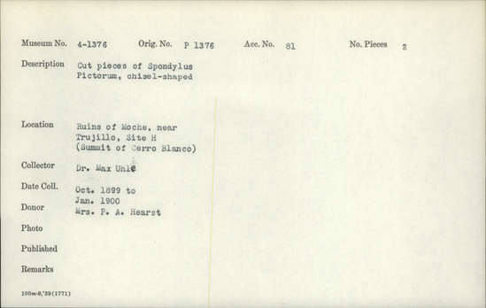 Documentation associated with Hearst Museum object titled Worked shell, accession number 4-1376, described as Cut pieces of Spondylus pictorum, chisel-shaped.