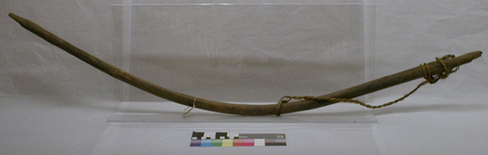 Hearst Museum object titled Stretcher, accession number 1-1604, described as Wooden, shaped like a bow, for working bow string.