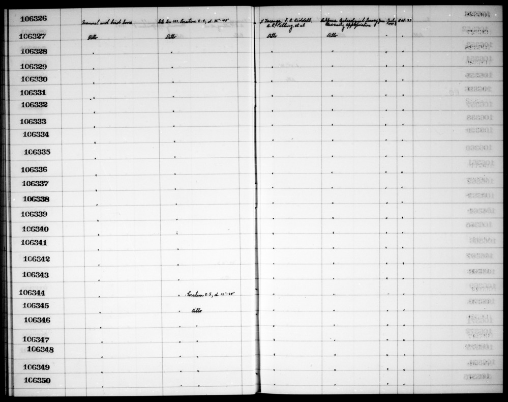 Documentation associated with Hearst Museum object titled Faunal remains, accession number 1-106344, described as Mammal and bird.