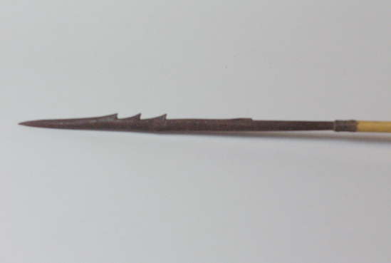Hearst Museum object titled Arrow, accession number 16-535, described as Arrow, barbed hardwood point, cane shaft, no feathers