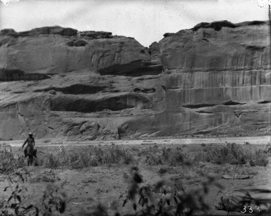 Hearst Museum object titled Black-and-white negative, accession number 15-333, described as Cliff ruin overlooking patch land; Canyon del Muerto in Chinle, Arizona