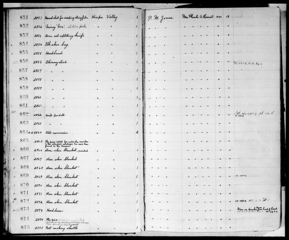 Documentation associated with Hearst Museum object titled Blanket, accession number 1-869, described as Deer skin blanket